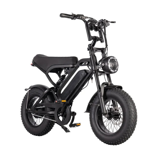 Fatbike mini